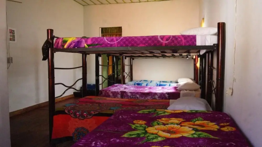 Hostal Casa del Loro - Hostel
