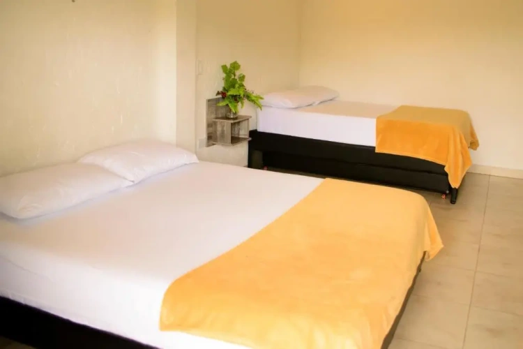 Standard Double room with balcony and with view