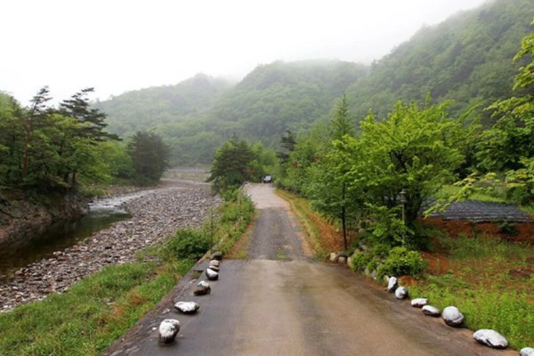 Yangyang Bidanhyang Komu Pension