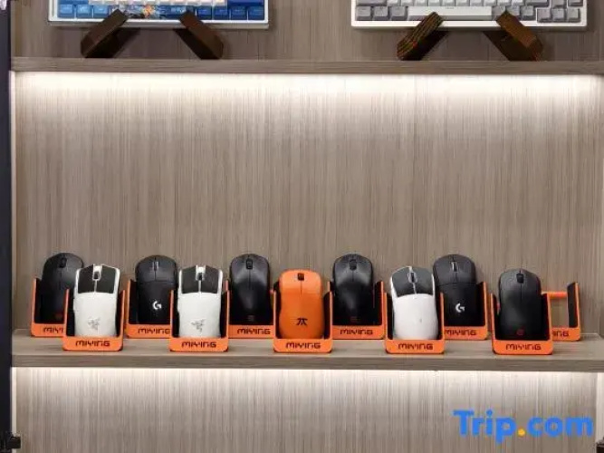 SenLinQiJing E-Sport hotel