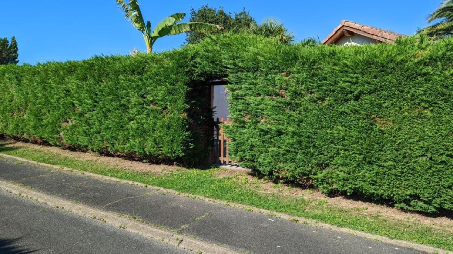 Outside