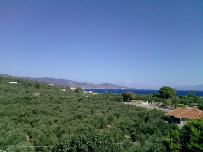 Studio with sea view