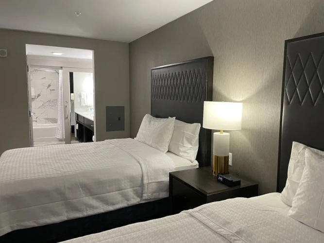 1 Bedroom Suite