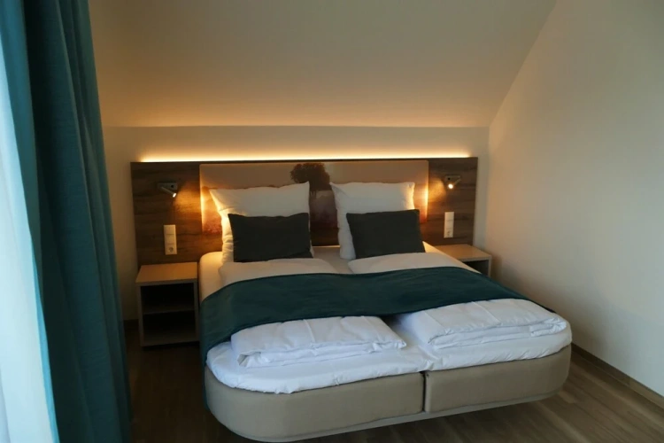 Standard Penthouse room