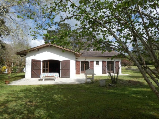 Cottage