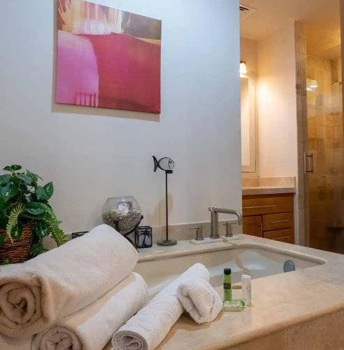 Standard Double room with balcony and with ocean view