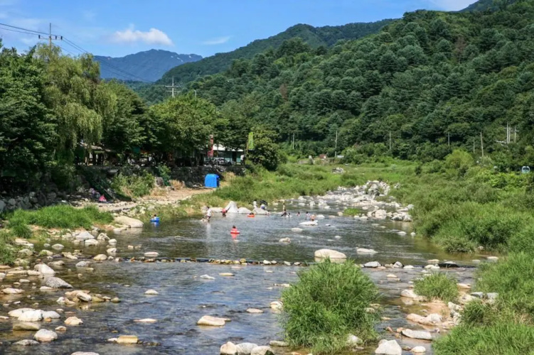 Arum Pension