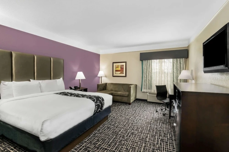 1 Bedroom Suite