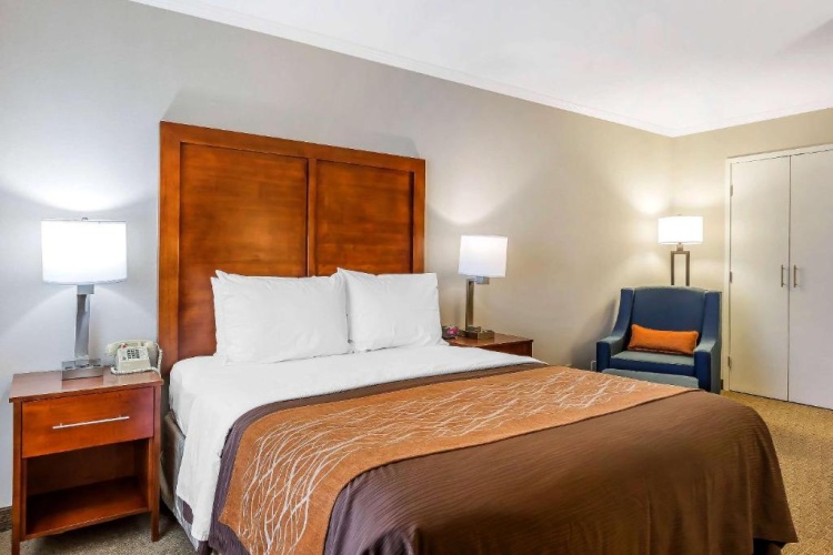 Standard Double room with courtyard view
