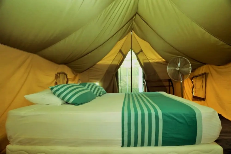 Tent with garden view