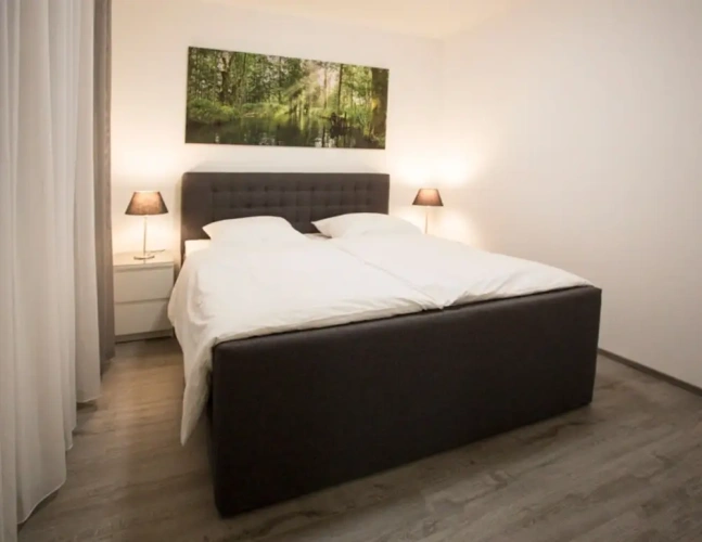 2 Bedrooms Classic Apartment