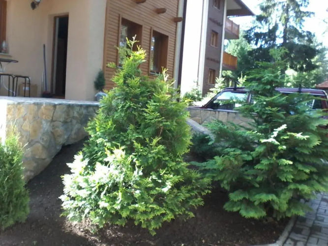 Apartment Joksimovic
