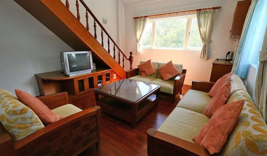 camphor tree manor