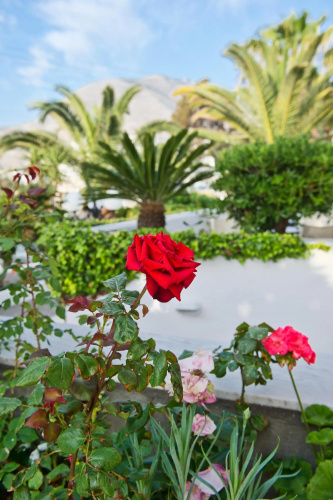 Makarios Beach Hotel photo 24