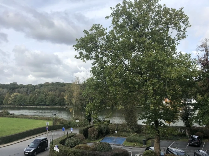 Executive Double room with lake view