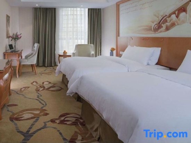 Deluxe Double Family room