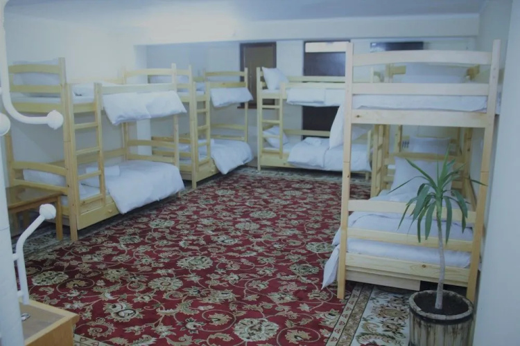 Happy Camper Hostel