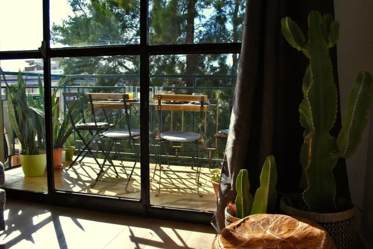 The Boho-Chic Oasis