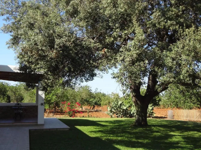 Agroturismo Sa Vinya d'en Palerm
