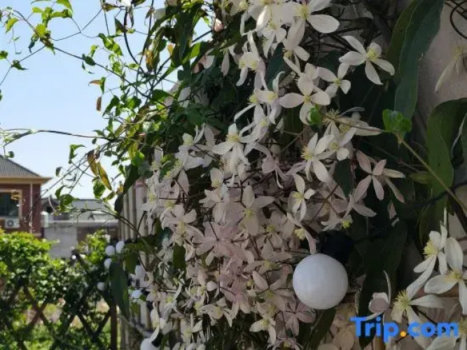 Ju Bai Homestay