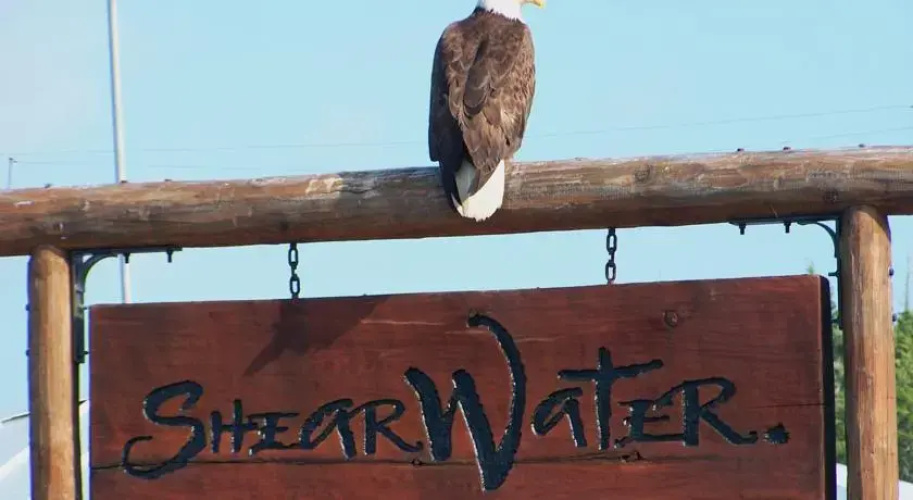 Shearwater Lodge