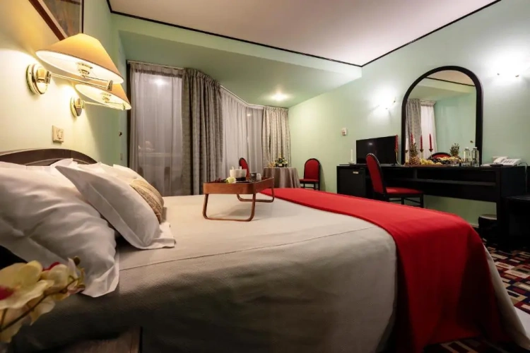 Standard Double room with balcony and with view