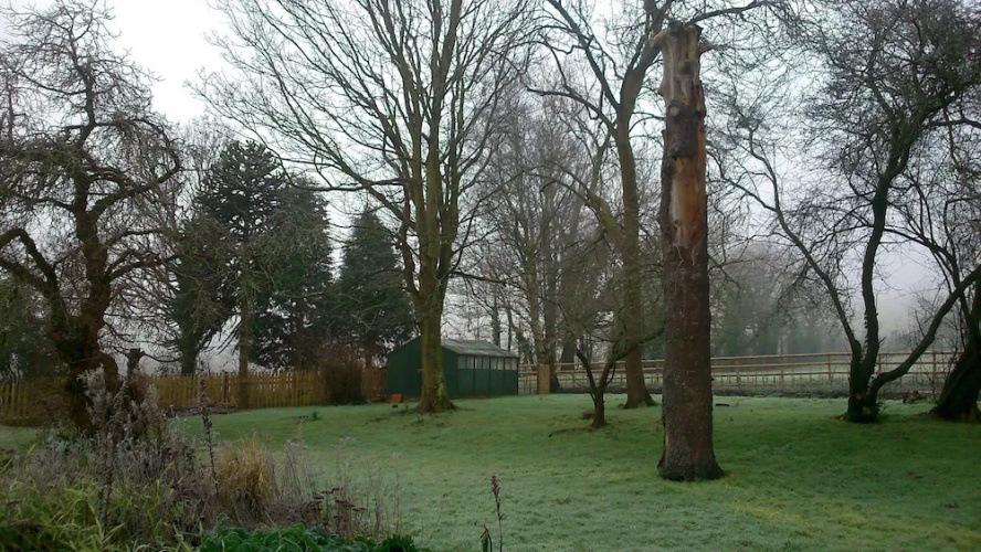 The Victorian House B&B