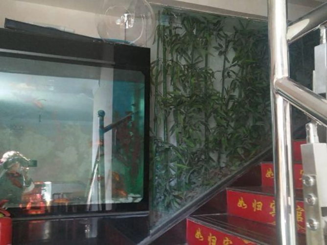 Rubin Hotel