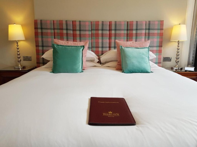 Deluxe Double room with garden view