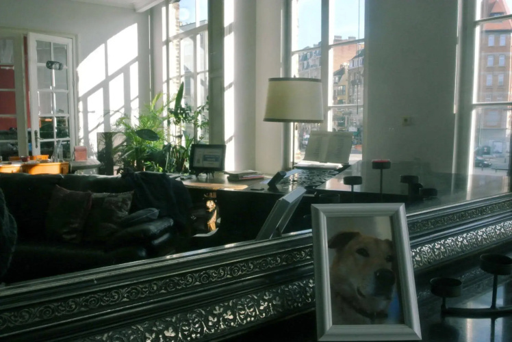 The Captaincy Guesthouse Brussels