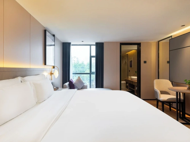 Business Double room with city view
