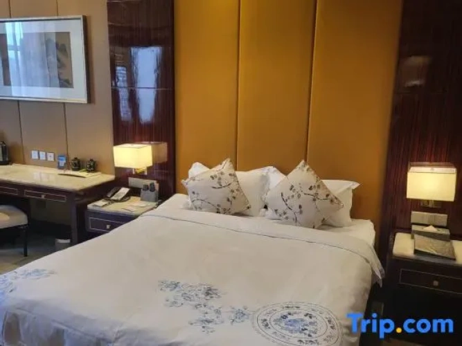 Executive Double Suite