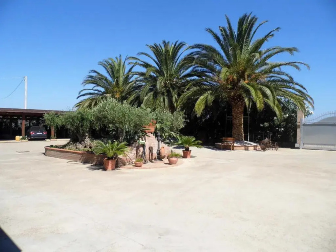 Le Palme