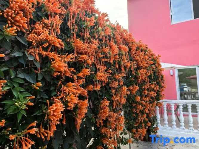 Outside