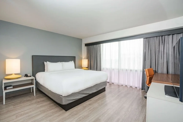 Quadruple Suite