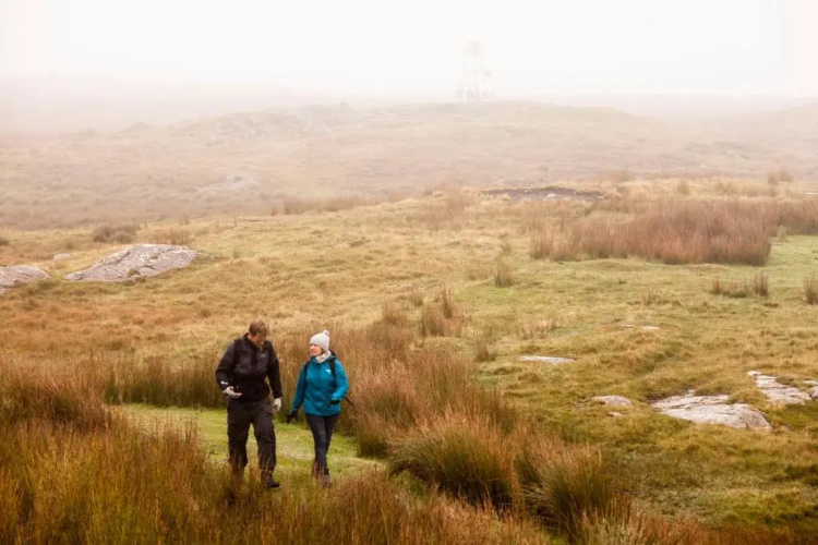 Cottage 392 - Clifden