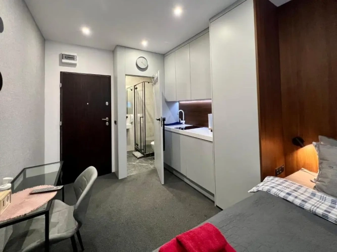 1 Bedroom Apartment