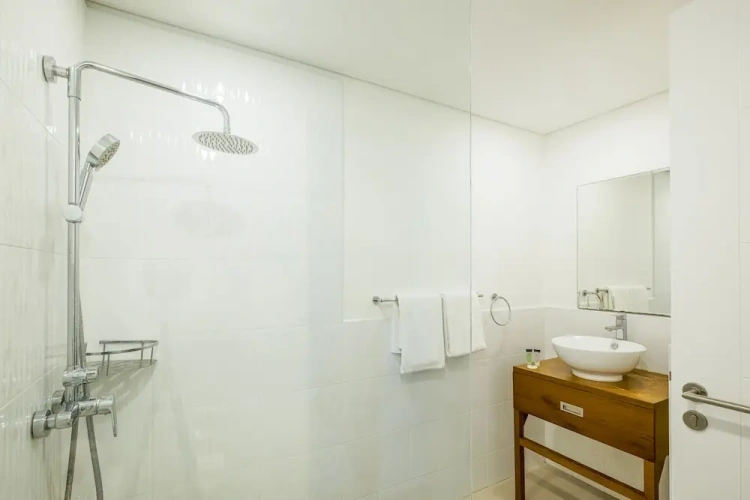 Basement Suite
