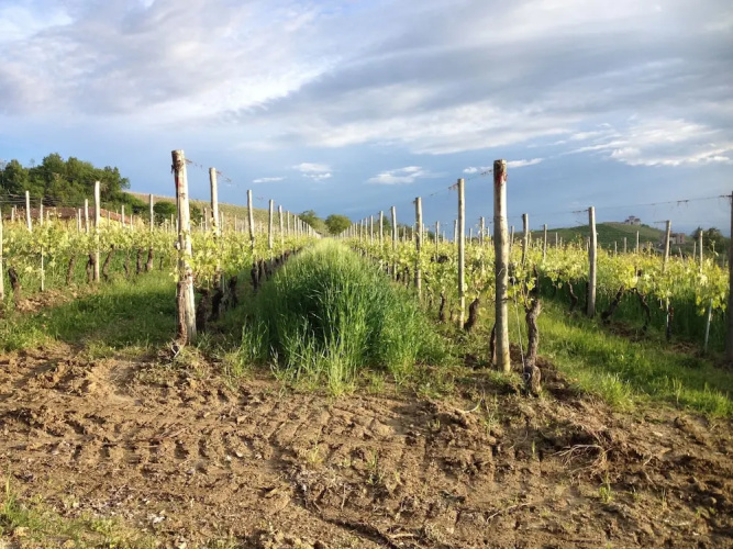 Agriturismo Rivetto