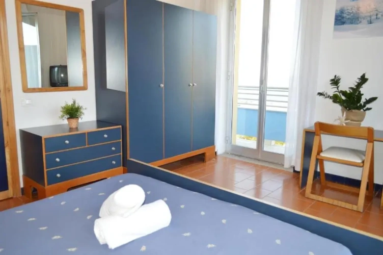 Standard Double room with balcony and with view