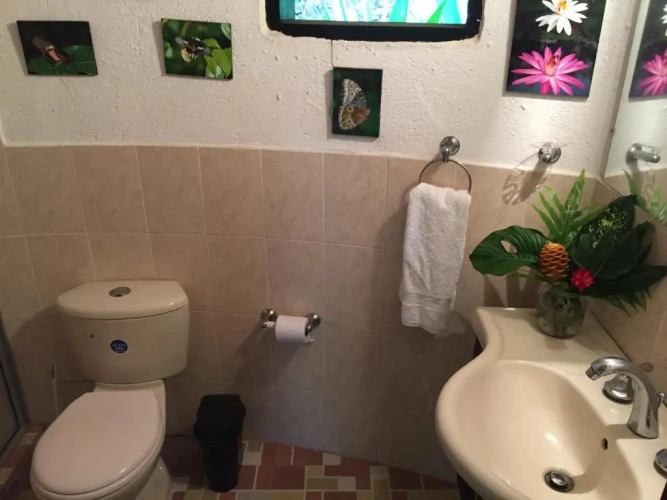 Bungalow