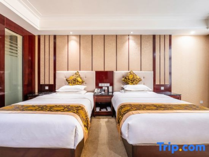 Standard Twin room with city view