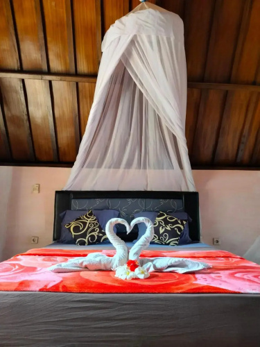 Aladdin Homestay