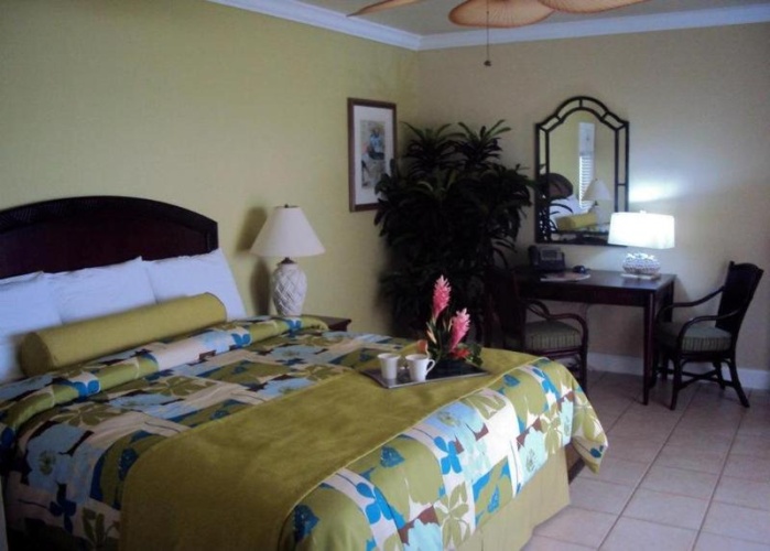 1 Bedroom Standard Double room with balcony and oceanfront