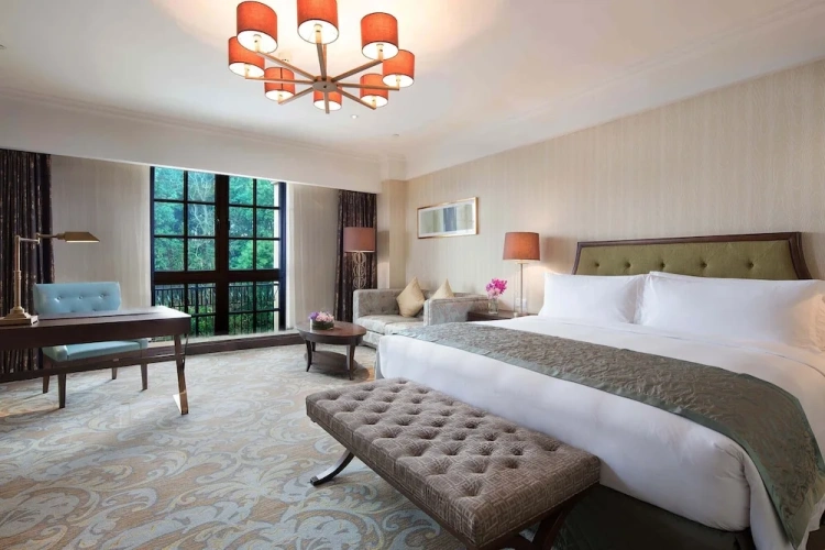 Luxury room