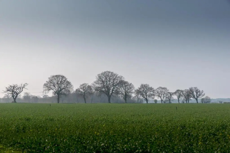 Little Abbey Farm
