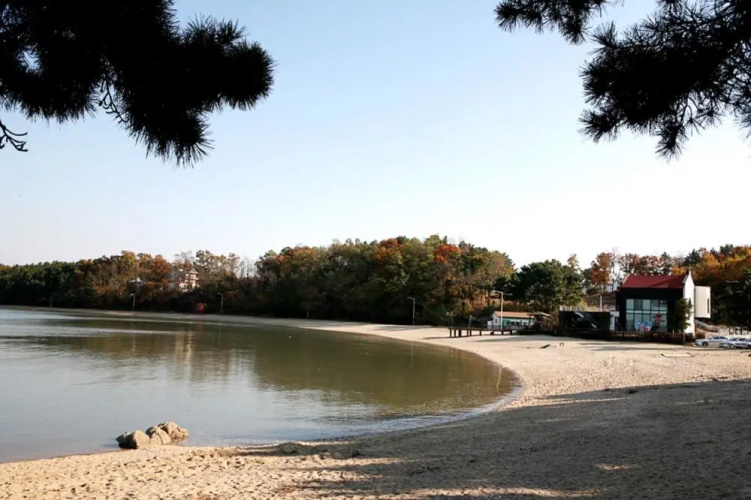 Sugi Beach