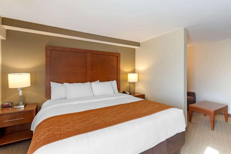 1 Bedroom Suite
