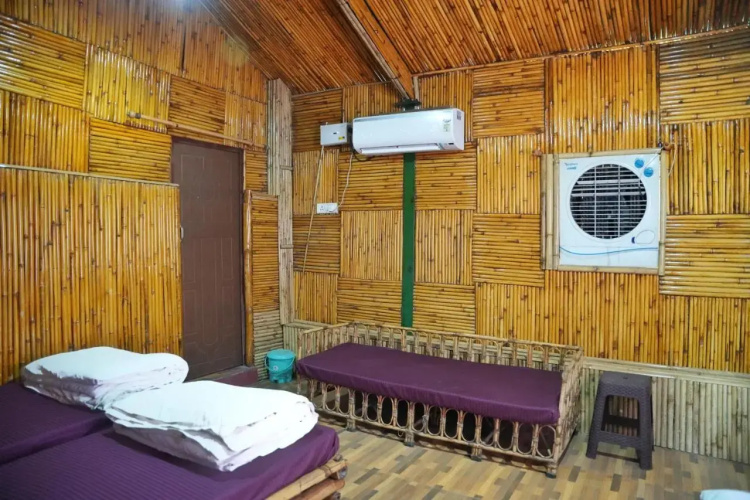 Cradle Of Life Camp
