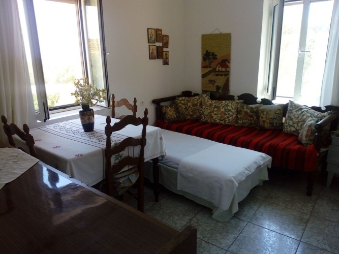 Garden Of Olive Trees